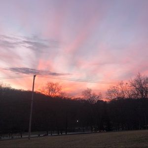 Meet your Posher, Evie